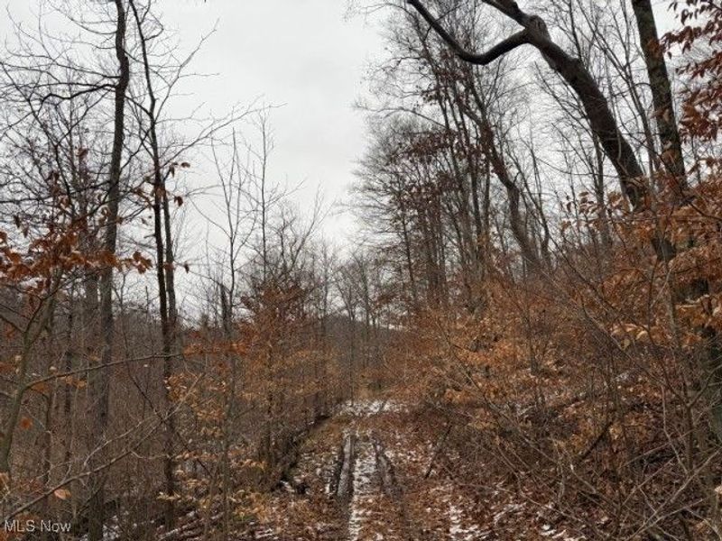 Rear Township Road, Lewisville, OH 43754 Photo 19