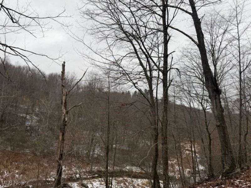 Rear Township Road, Lewisville, OH 43754 Photo 2