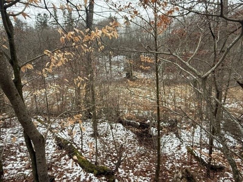 Rear Township Road, Lewisville, OH 43754 Photo 21