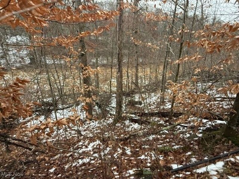 Rear Township Road, Lewisville, OH 43754 Photo 22