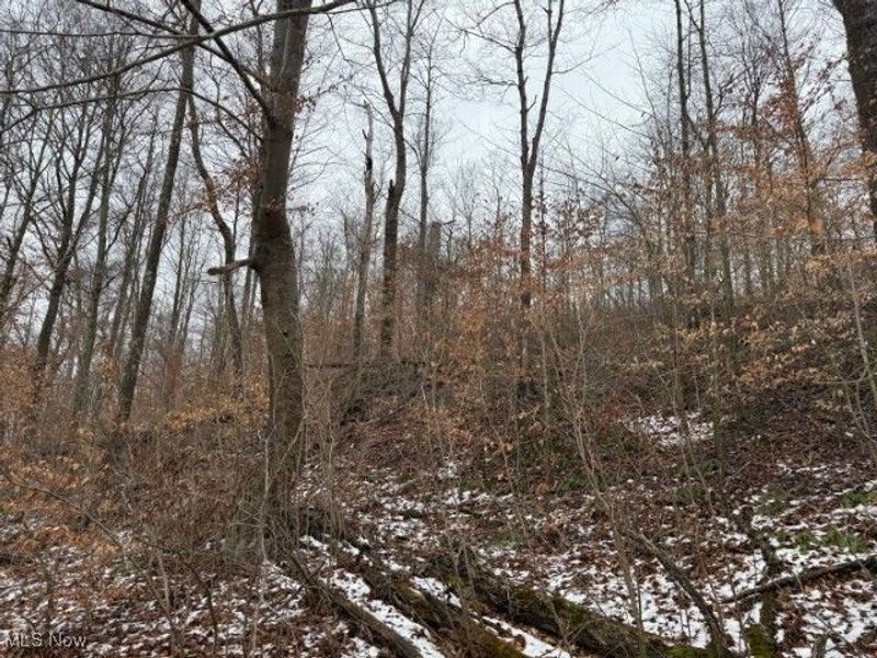 Rear Township Road, Lewisville, OH 43754 Photo 23