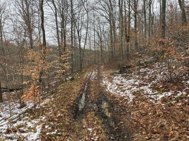 Rear Township Road, Lewisville, OH 43754 Photo 24