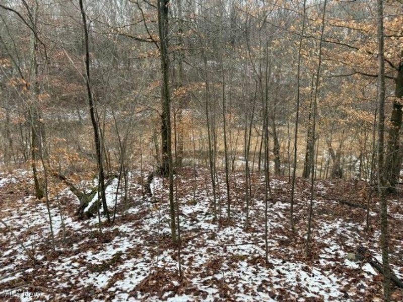 Rear Township Road, Lewisville, OH 43754 Photo 26