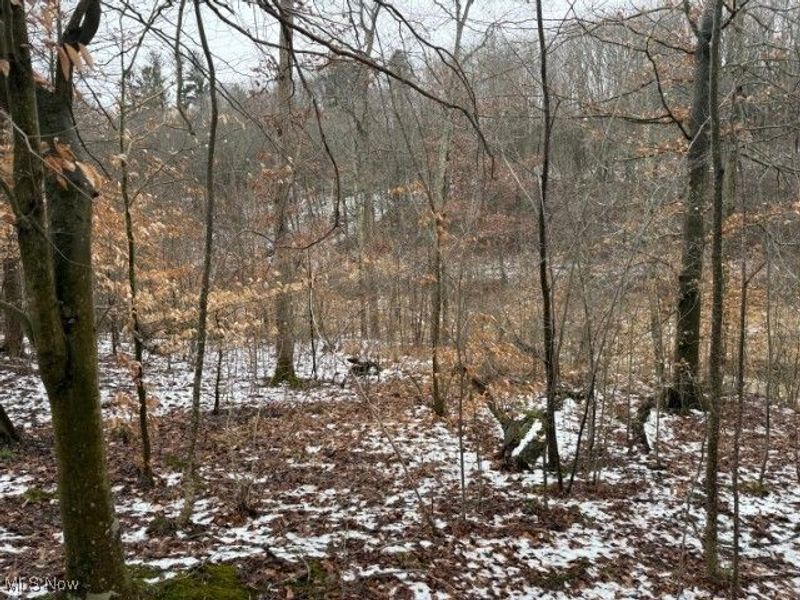 Rear Township Road, Lewisville, OH 43754 Photo 27