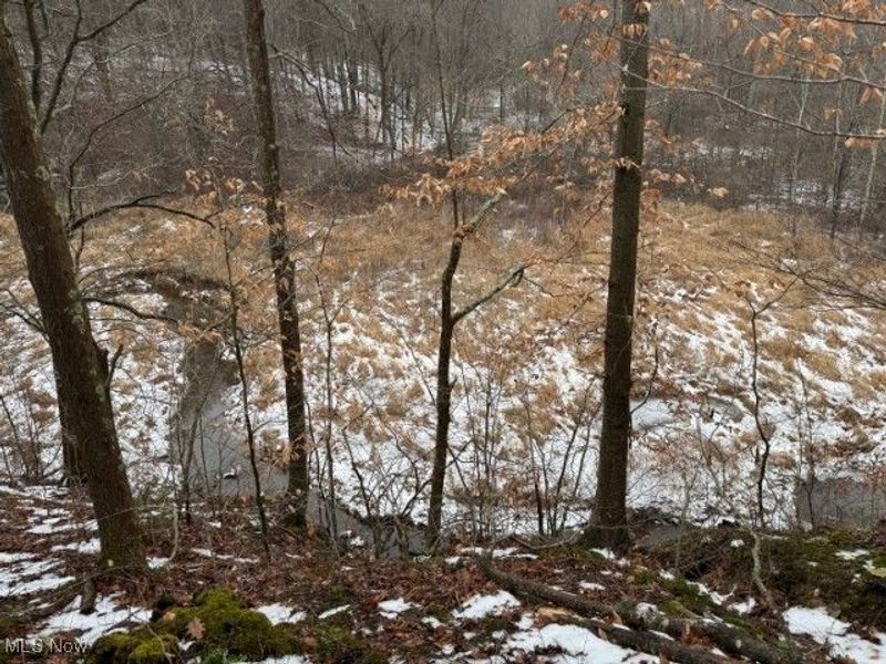 Rear Township Road, Lewisville, OH 43754 Photo 28