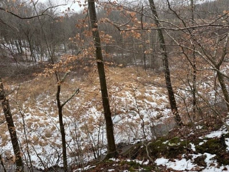 Rear Township Road, Lewisville, OH 43754 Photo 29