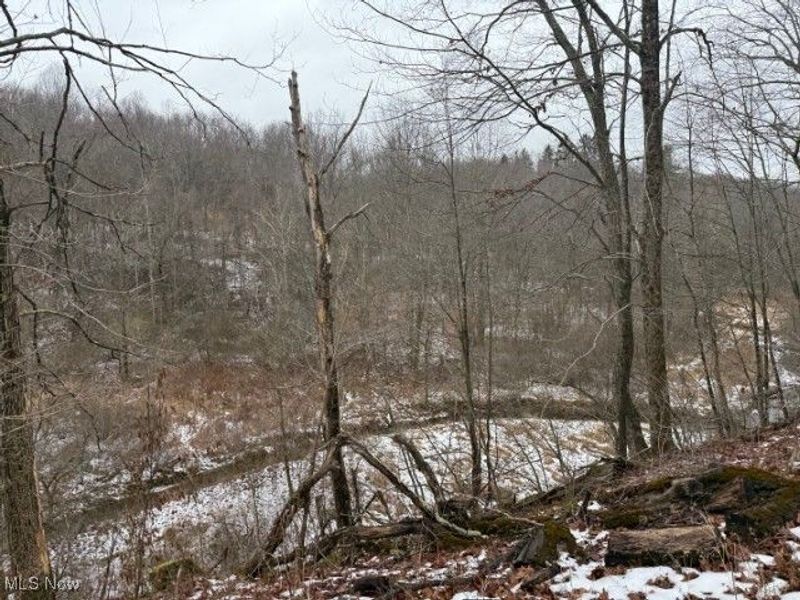 Rear Township Road, Lewisville, OH 43754 Photo 3