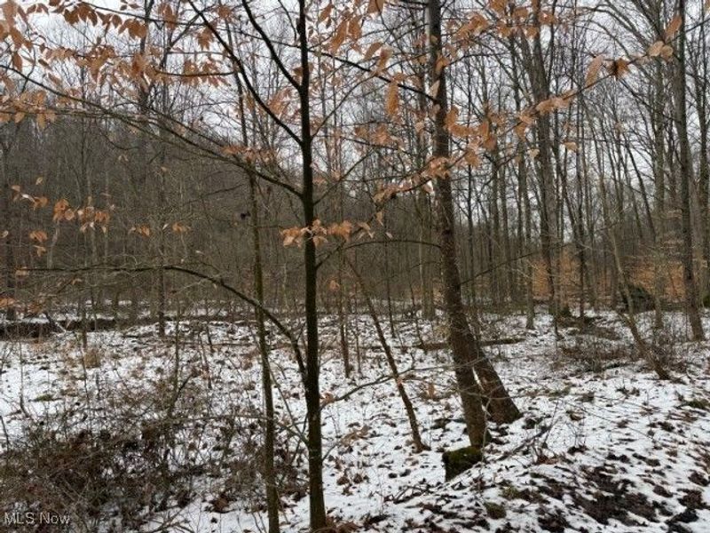 Rear Township Road, Lewisville, OH 43754 Photo 30