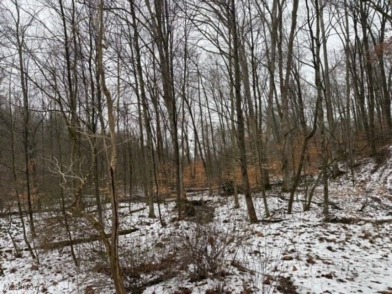 Rear Township Road, Lewisville, OH 43754 Photo 31