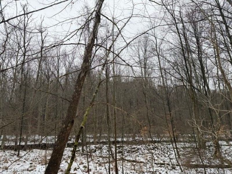 Rear Township Road, Lewisville, OH 43754 Photo 32