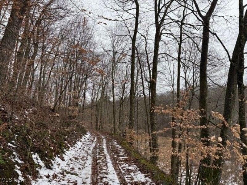 Rear Township Road, Lewisville, OH 43754 Photo 33