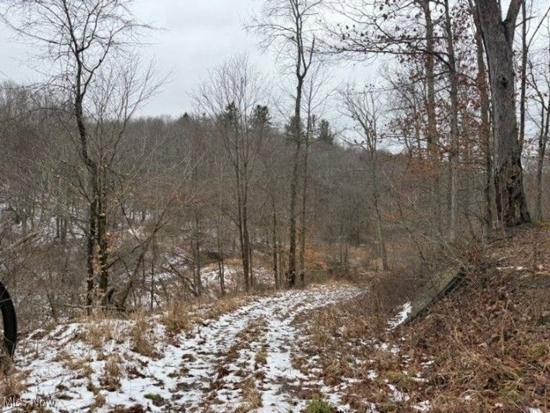 Rear Township Road, Lewisville, OH 43754 Photo 4