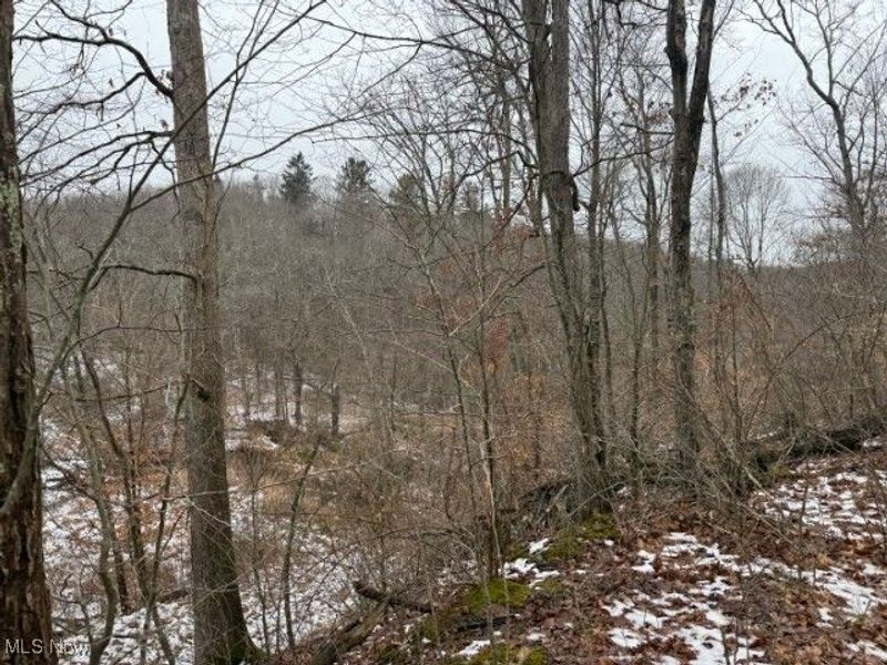 Rear Township Road, Lewisville, OH 43754 Photo 5