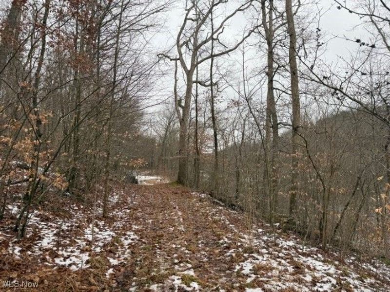 Rear Township Road, Lewisville, OH 43754 Photo 7