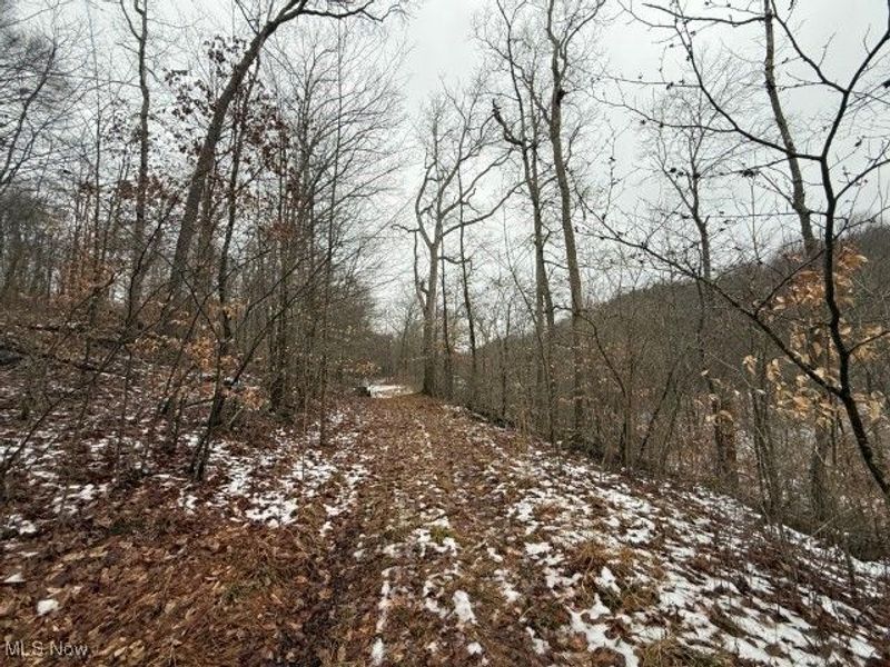 Rear Township Road, Lewisville, OH 43754 Photo 8