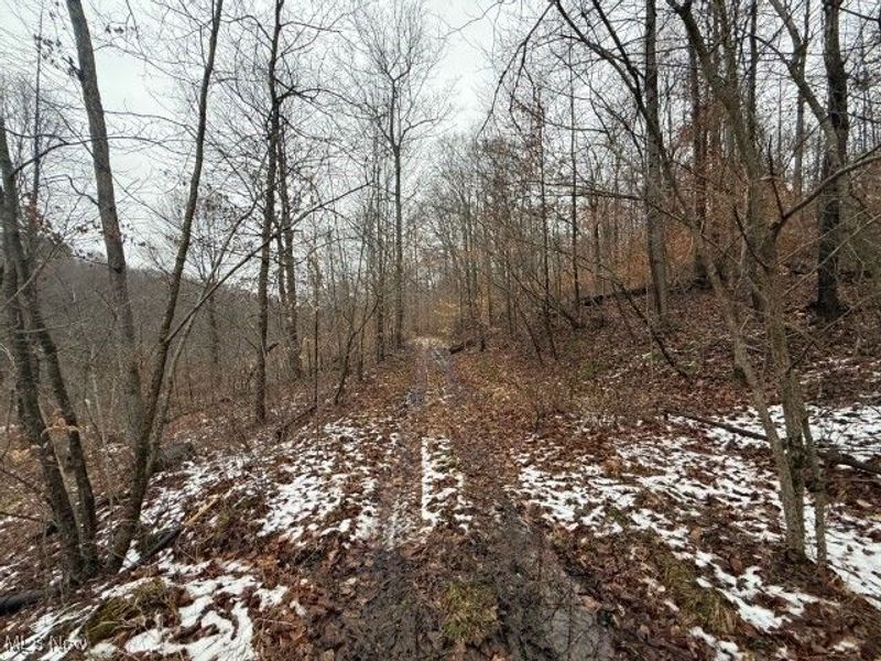 Rear Township Road, Lewisville, OH 43754 Photo 9