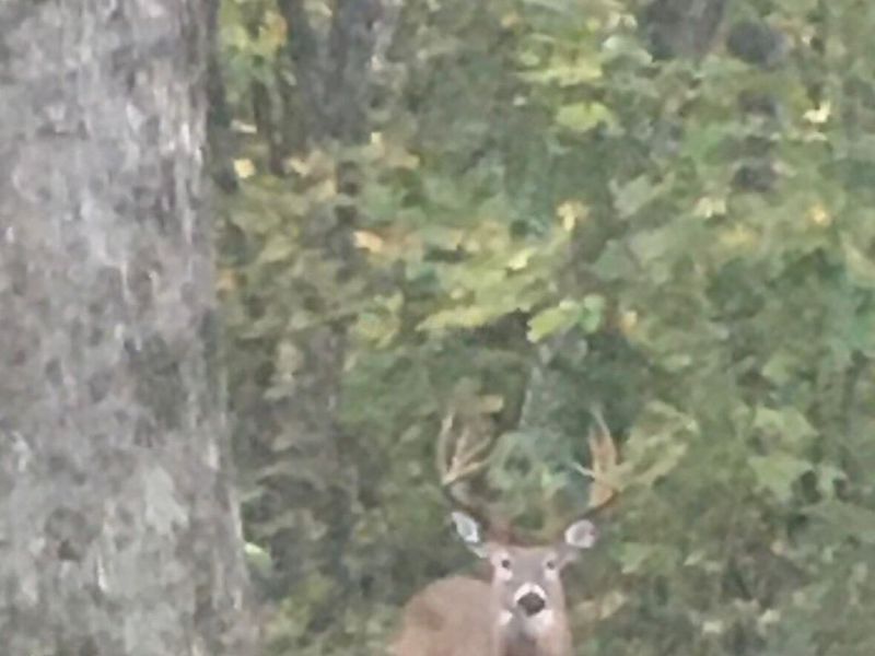 0 Loudermilk Road , Glouster, OH 45732 Photo 2