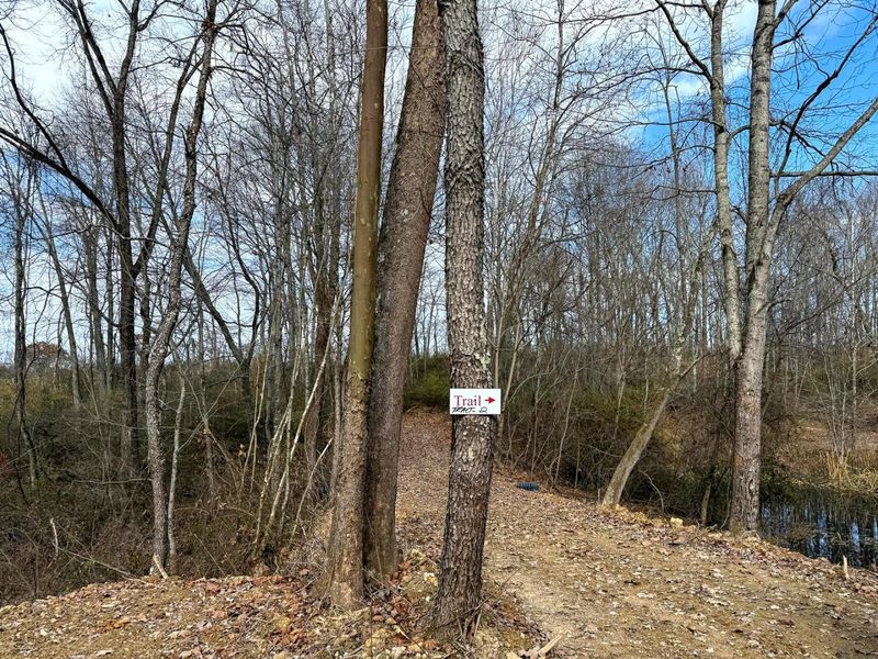 0 Dutch Ridge Road, Unit (Woods Tur, New Lexington, OH 43764 Photo 16