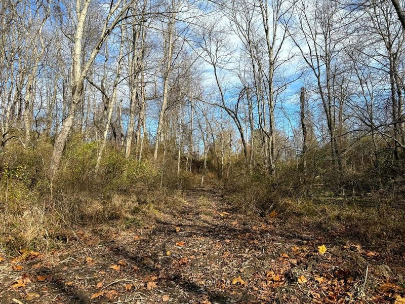 0 Dutch Ridge Road, Unit (Woods Tur, New Lexington, OH 43764 Photo 25