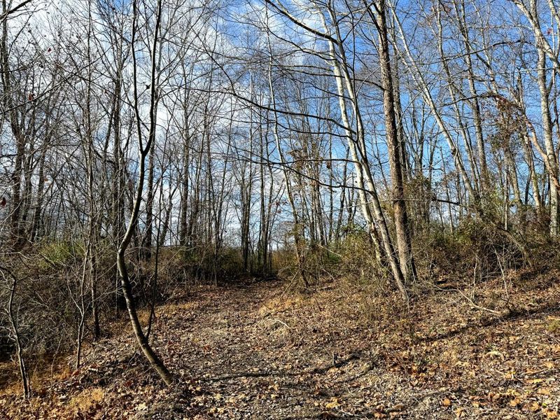 0 Dutch Ridge Road, Unit (Woods Tur, New Lexington, OH 43764 Photo 27