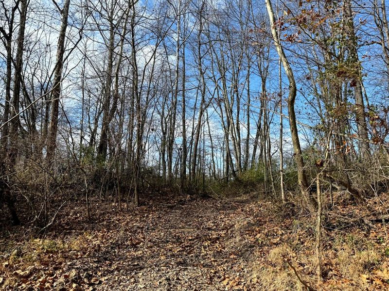 0 Dutch Ridge Road, Unit (Woods Tur, New Lexington, OH 43764 Photo 29