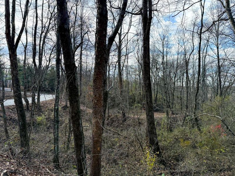 0 Dutch Ridge Road, Unit (Woods Tur, New Lexington, OH 43764 Photo 31