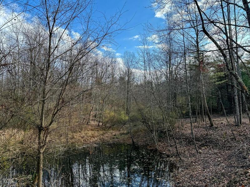 0 Dutch Ridge Road, Unit (Woods Tur, New Lexington, OH 43764 Photo 33