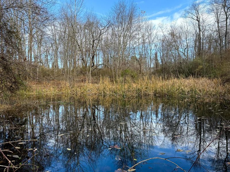 0 Dutch Ridge Road, Unit (Woods Tur, New Lexington, OH 43764 Photo 34