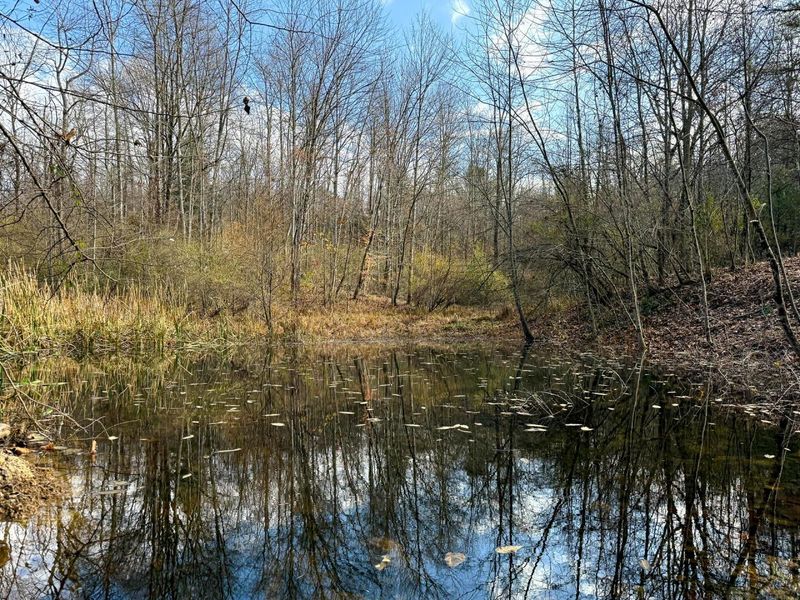 0 Dutch Ridge Road, Unit (Woods Tur, New Lexington, OH 43764 Photo 35