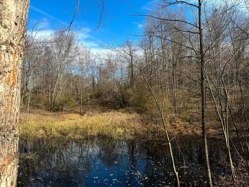 0 Dutch Ridge Road, Unit (Woods Tur, New Lexington, OH 43764 Photo 36