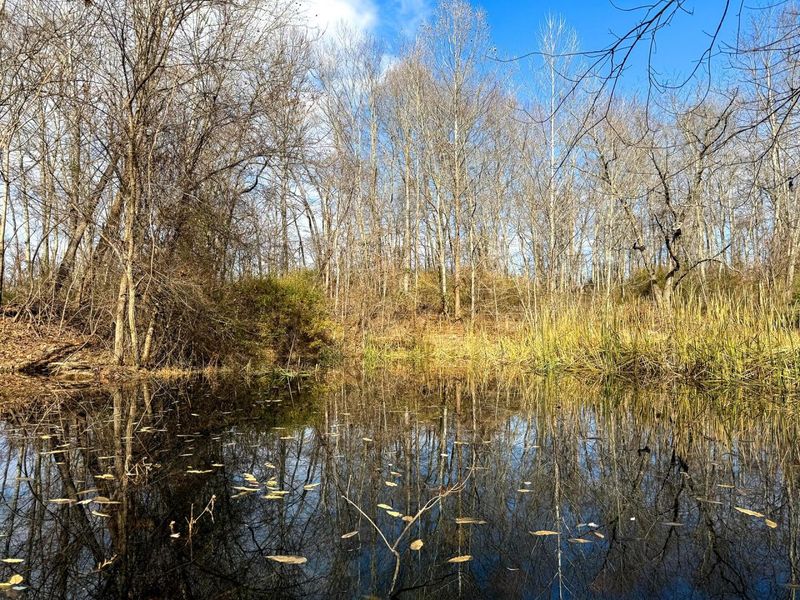 0 Dutch Ridge Road, Unit (Woods Tur, New Lexington, OH 43764 Photo 37
