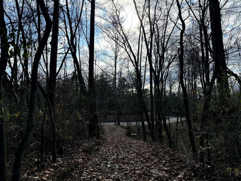 0 Dutch Ridge Road, Unit (Woods Tur, New Lexington, OH 43764 Photo 7