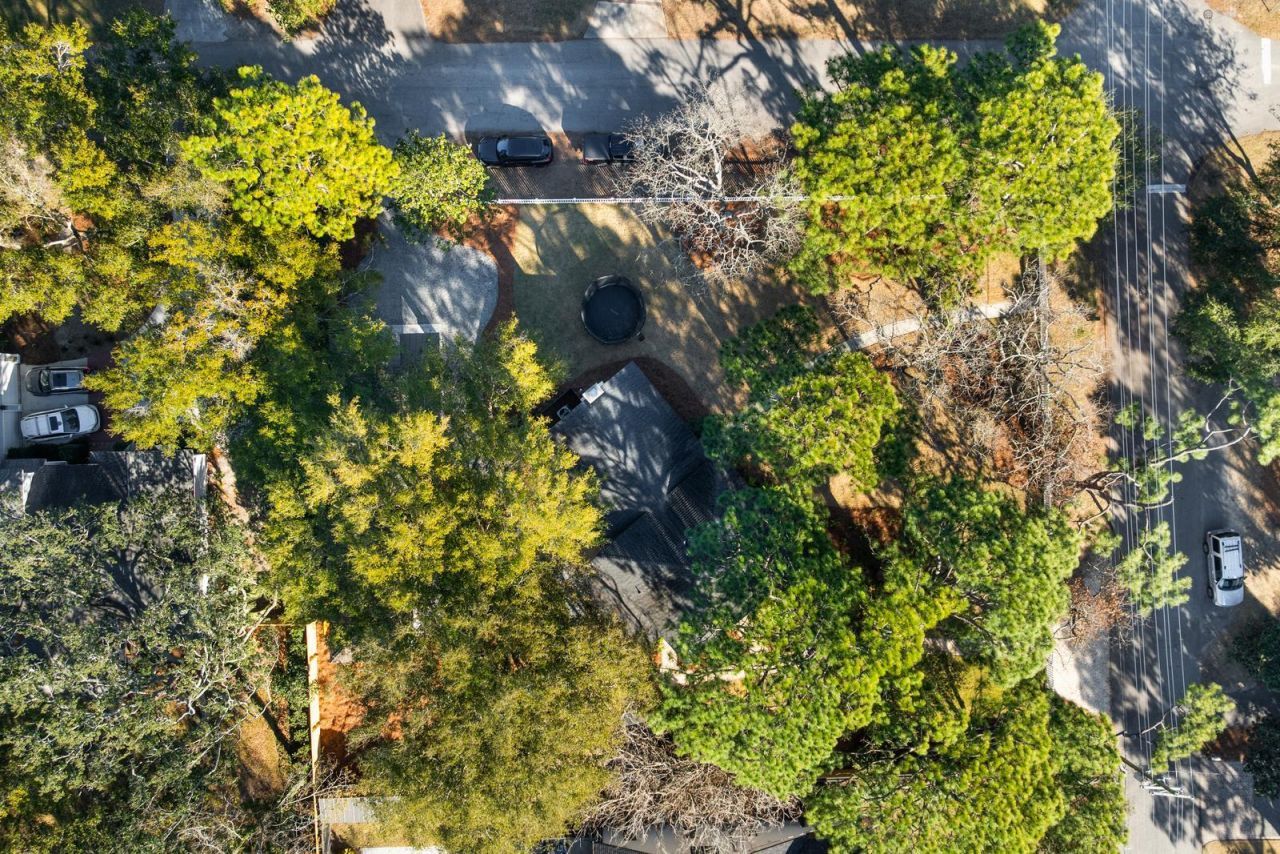 412 Palm Street Photo 57