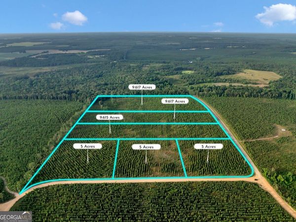 PARCEL 13 Carl Rodgers Road, Reynolds, GA 31076