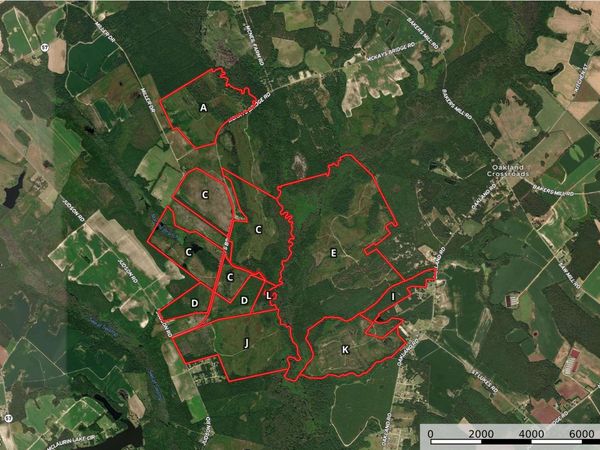 0 McKays Bridge Rd., Dillon, SC 29536