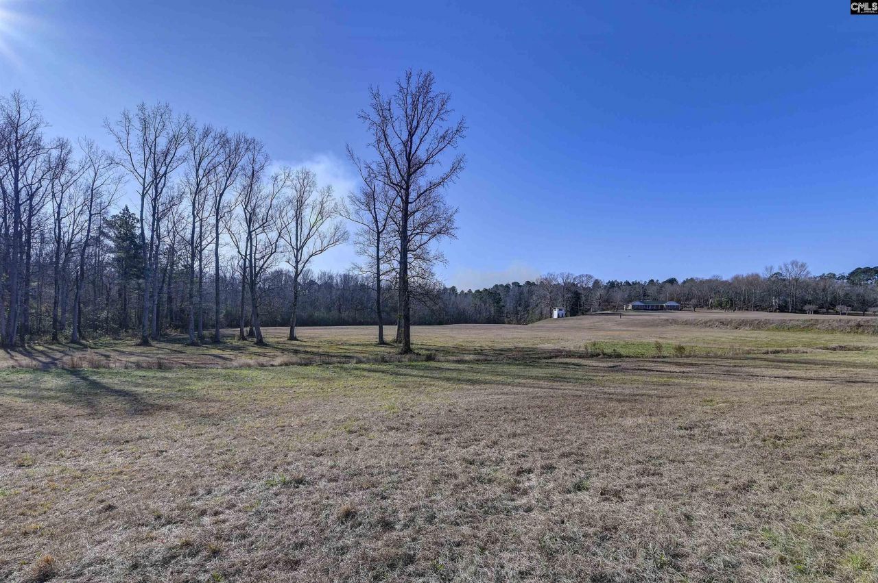 1717 Dixired Road Photo 11