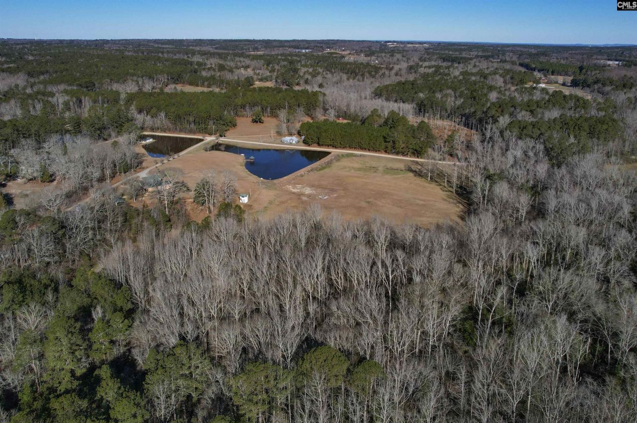 1717 Dixired Road Photo 12