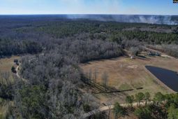 1717 Dixired Road photo 4