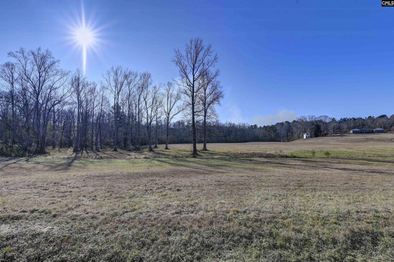 1717 Dixired Road Photo 7