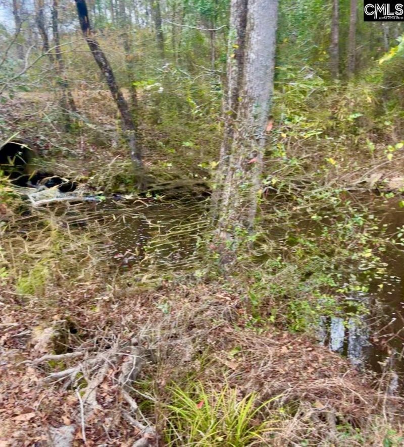 1717 Dixired Road Photo 8