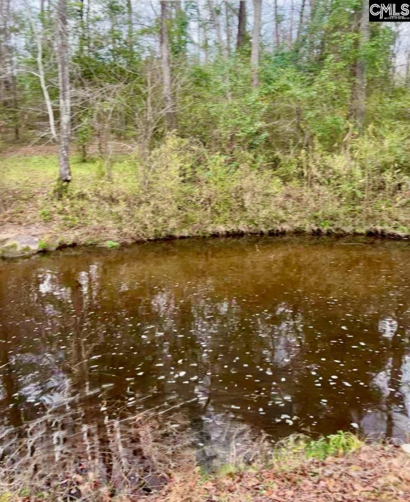 1717 Dixired Road Photo 9