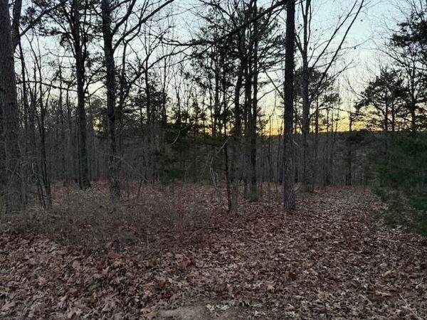 5 Red Oak Street, Pleasant Plains, AR 72568