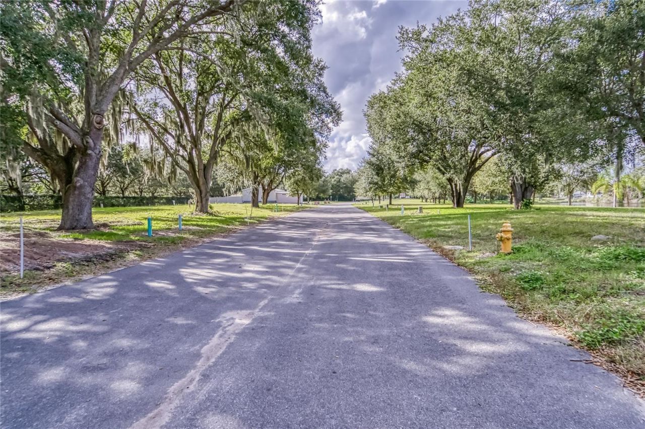 2105 Bruce Street, Lakeland, FL 33801 Photo