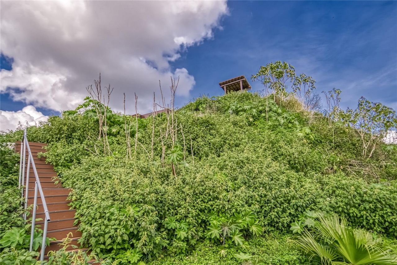 2105 Bruce Street, Lakeland, FL 33801 Photo