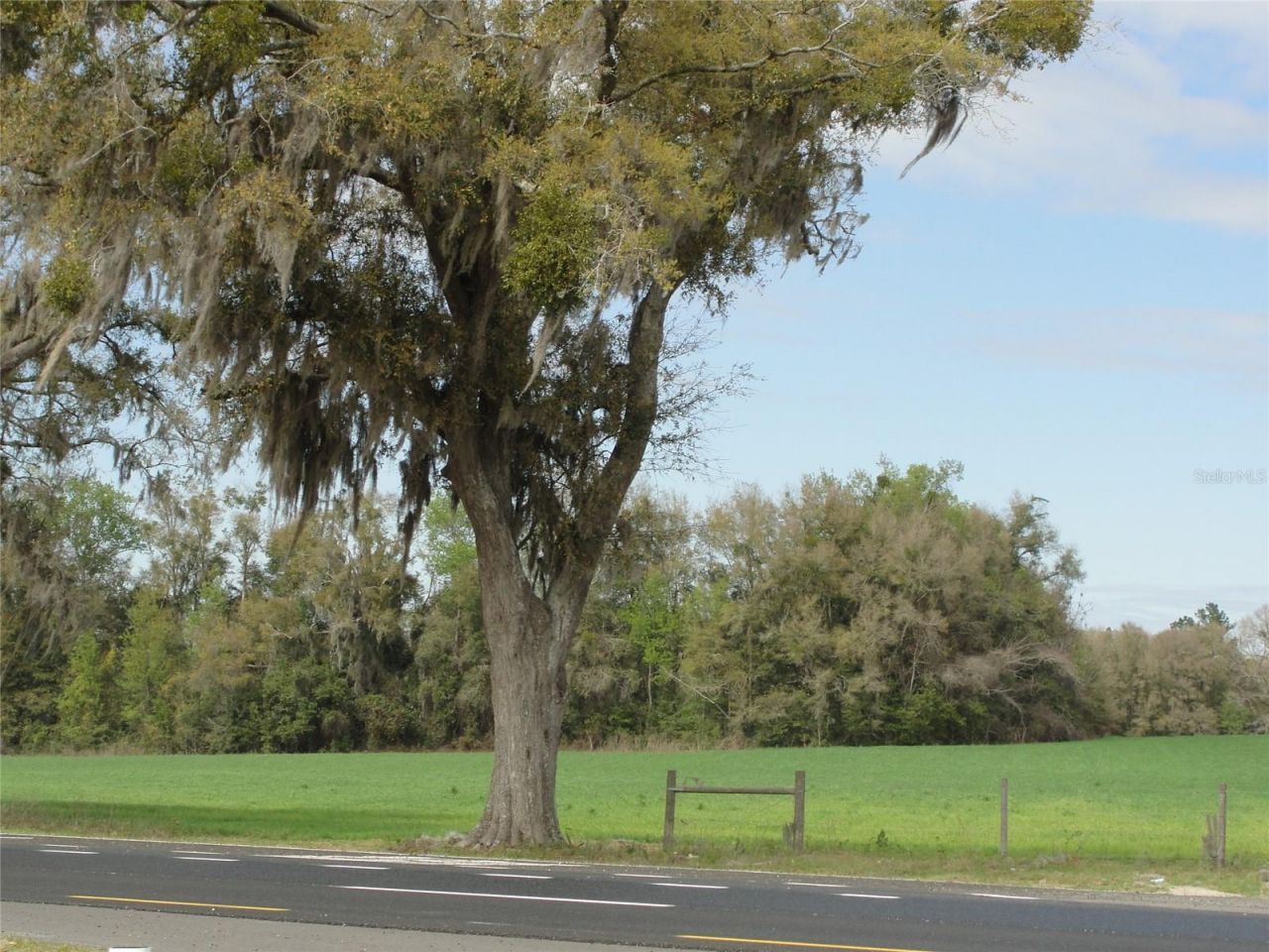 Tbd Highway 441, Alachua, FL 32615 Photo