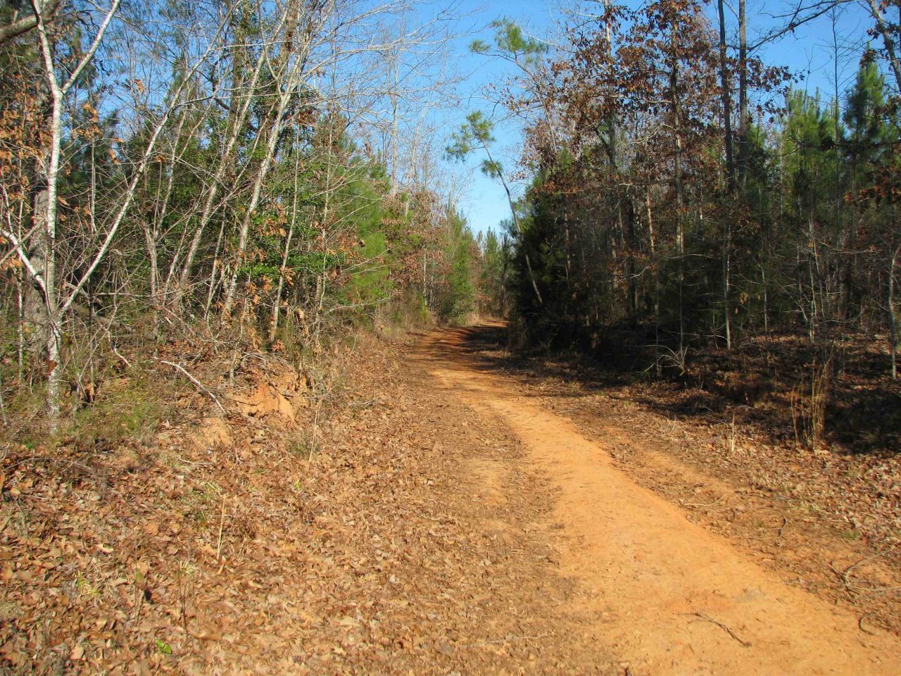 0 Buckhead Rd. Photo 13