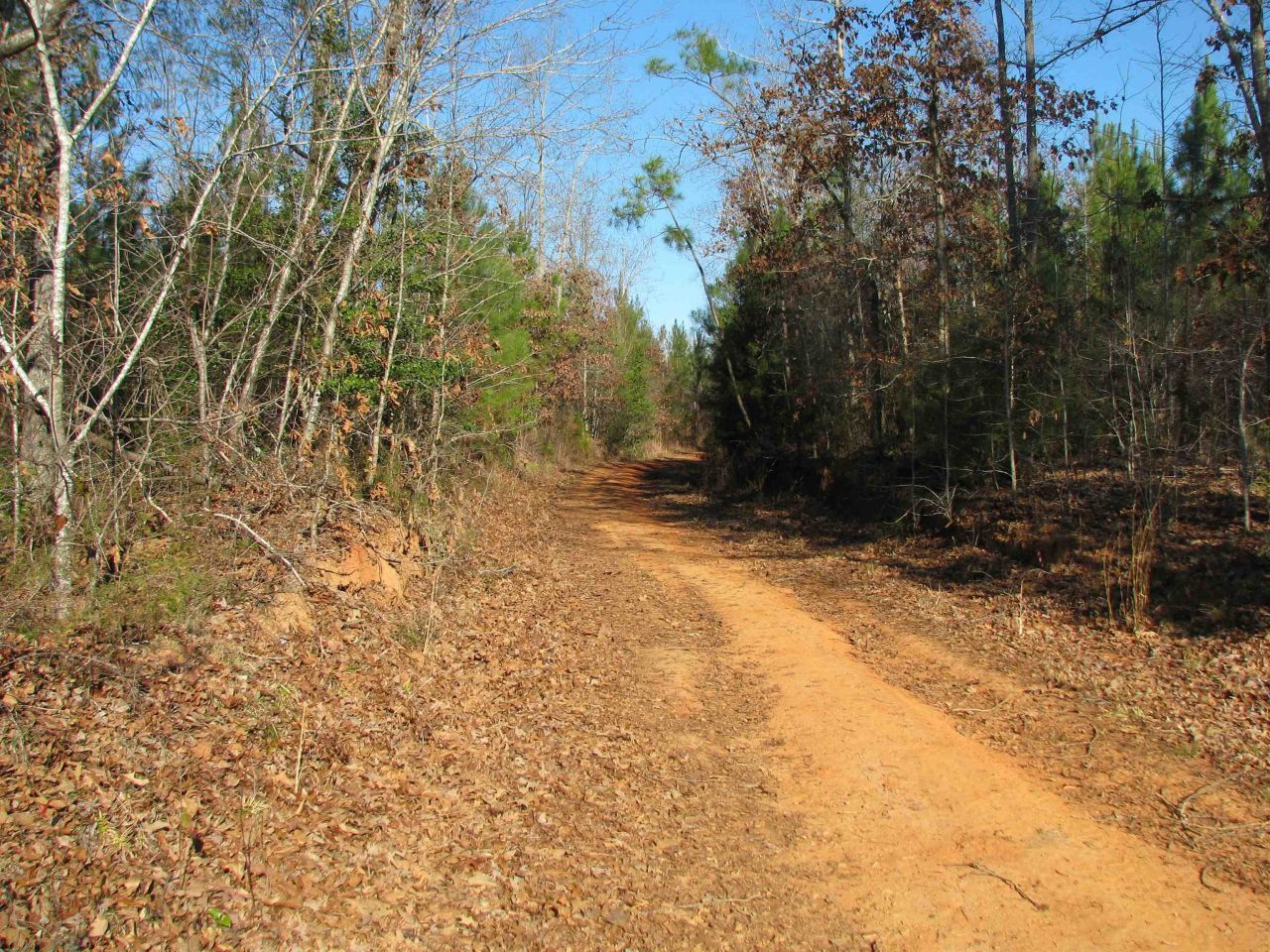 0 Buckhead Rd. Photo 14