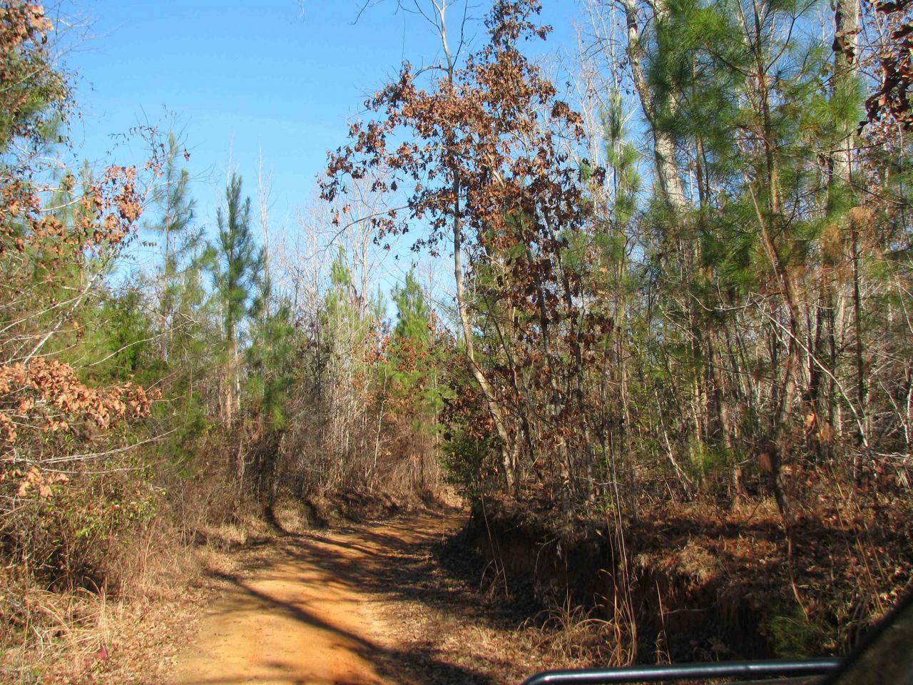 0 Buckhead Rd. Photo 16