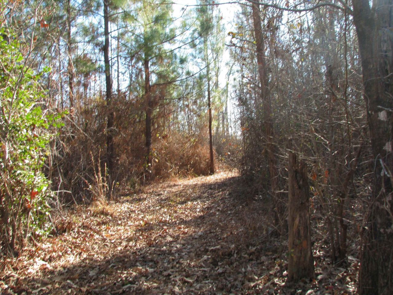 0 Buckhead Rd. Photo 17