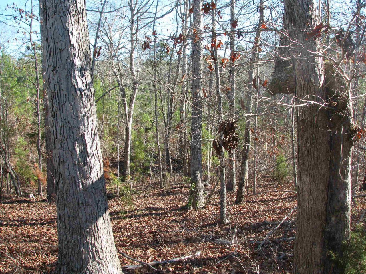 0 Buckhead Rd. Photo 20